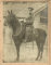 WWI soldier Gilbert Bellinger mounted on horse with sword